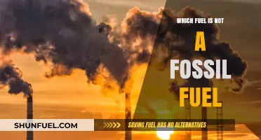 Fossil-Free Fuels: Exploring Alternative Energy Sources