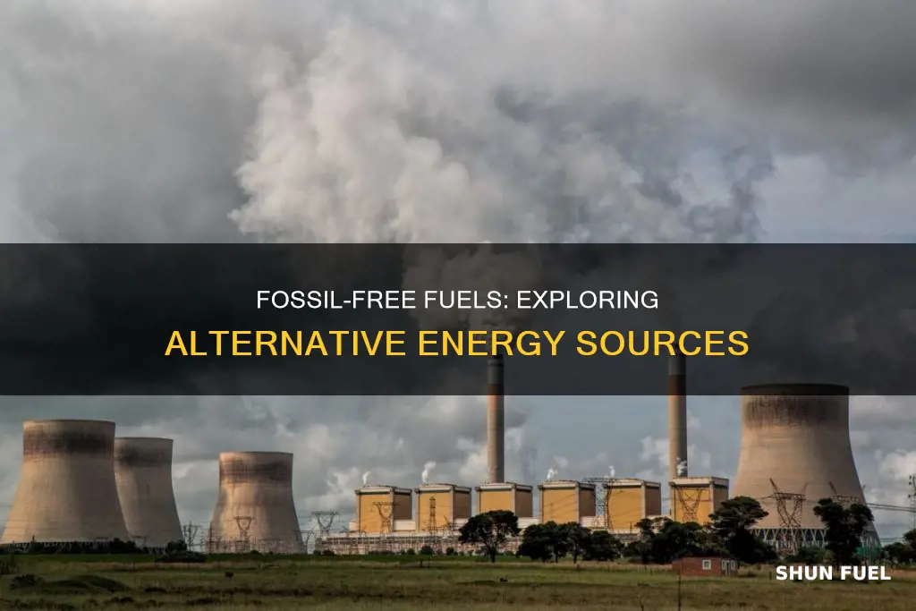 which fuel is not a fossil fuel