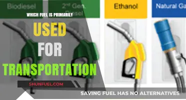 Exploring the Dominant Fuel Powering Global Transportation Systems Today