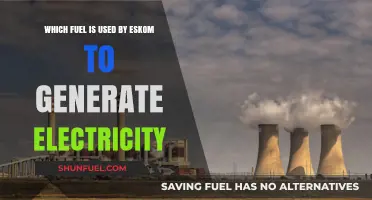 Eskom's Power Source: Exploring the Primary Fuel for Electricity Generation