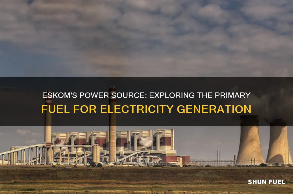 which fuel is used by eskom to generate electricity