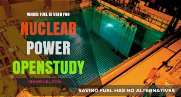 Understanding Nuclear Power: The Fuel Source Behind OpenStudy's Energy