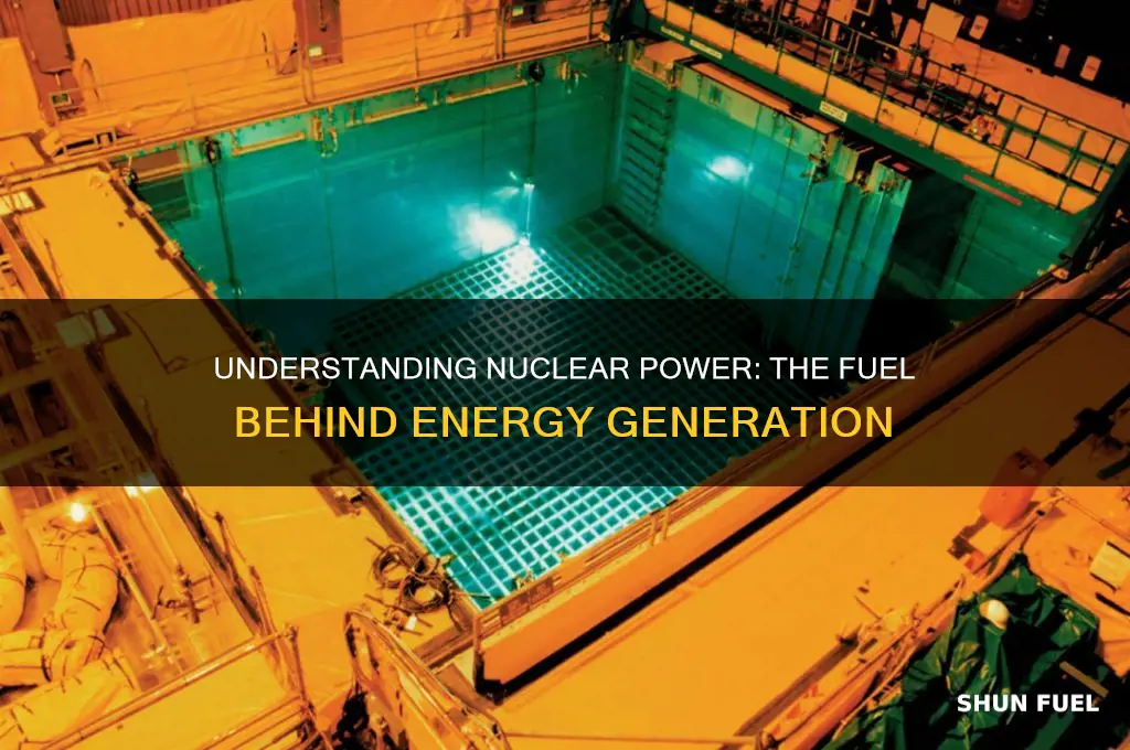 which fuel is used in a nuclear power station