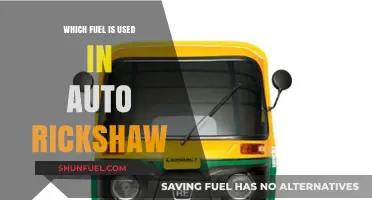Auto Rickshaw Fuel Types: CNG, Petrol, or Diesel Explained
