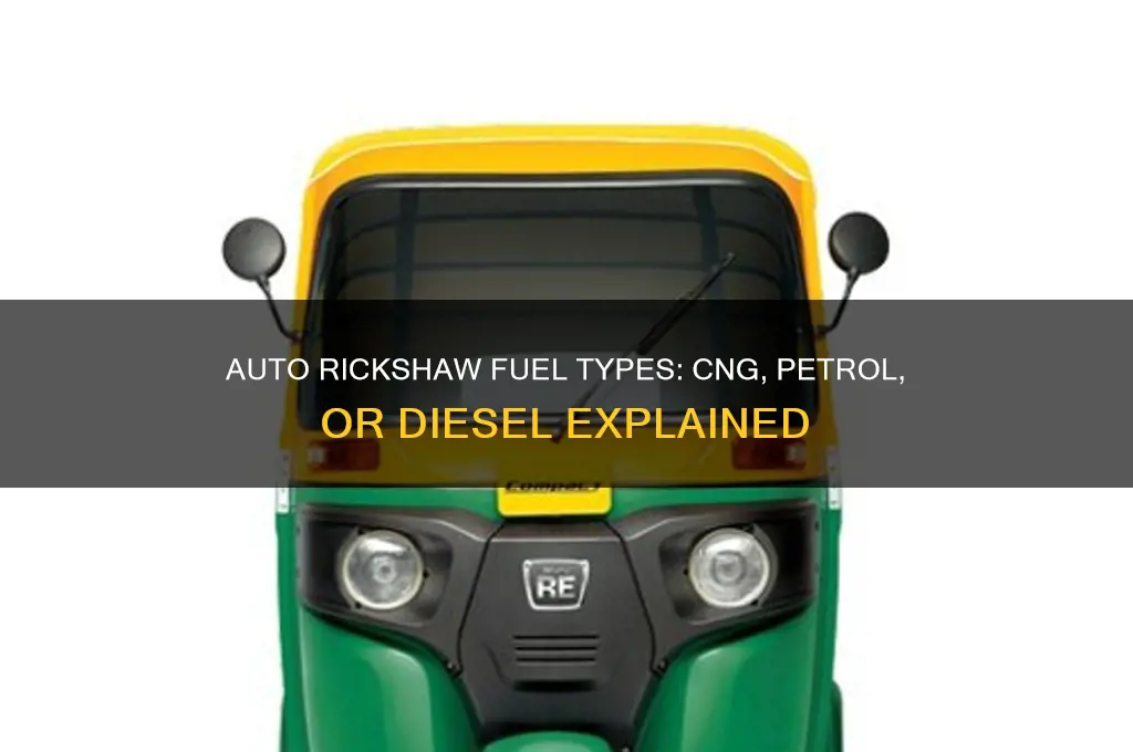 which fuel is used in auto rickshaw