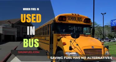 Exploring the Most Common Fuels Powering Buses Worldwide