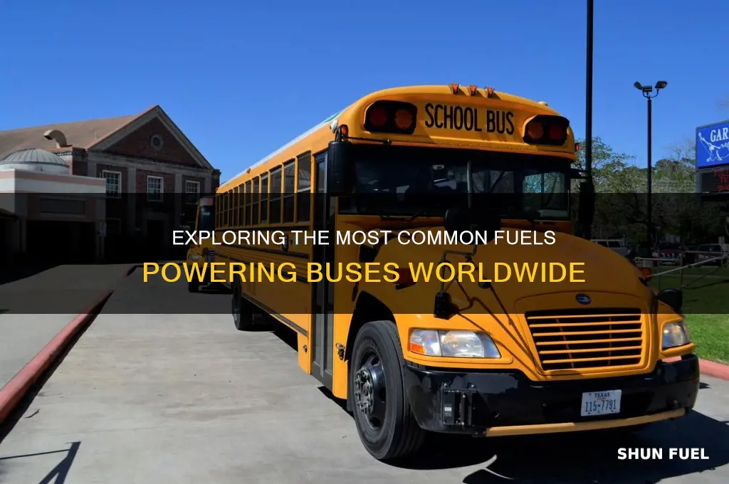 which fuel is used in bus
