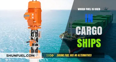 Exploring Cargo Ship Fuels: Types, Efficiency, and Environmental Impact