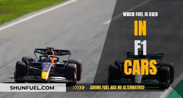 Unleashing F1's Power: Understanding the Fuel That Paves the Track