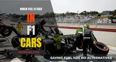 The Evolution of Fuel Used in Formula One Cars