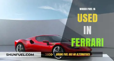 What Fuel Powers Ferrari's Legendary Performance and Speed?
