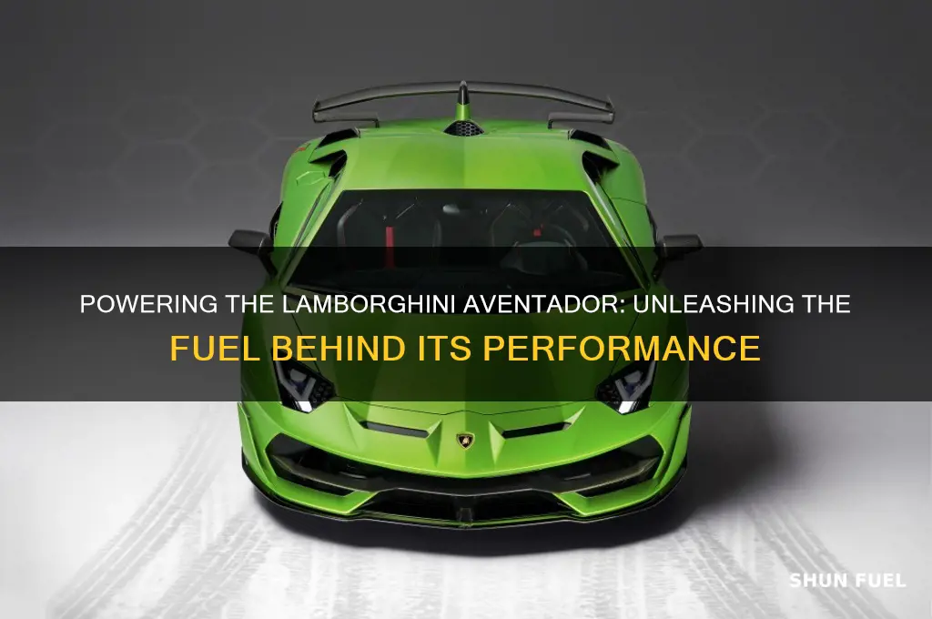 which fuel is used in lamborghini aventador