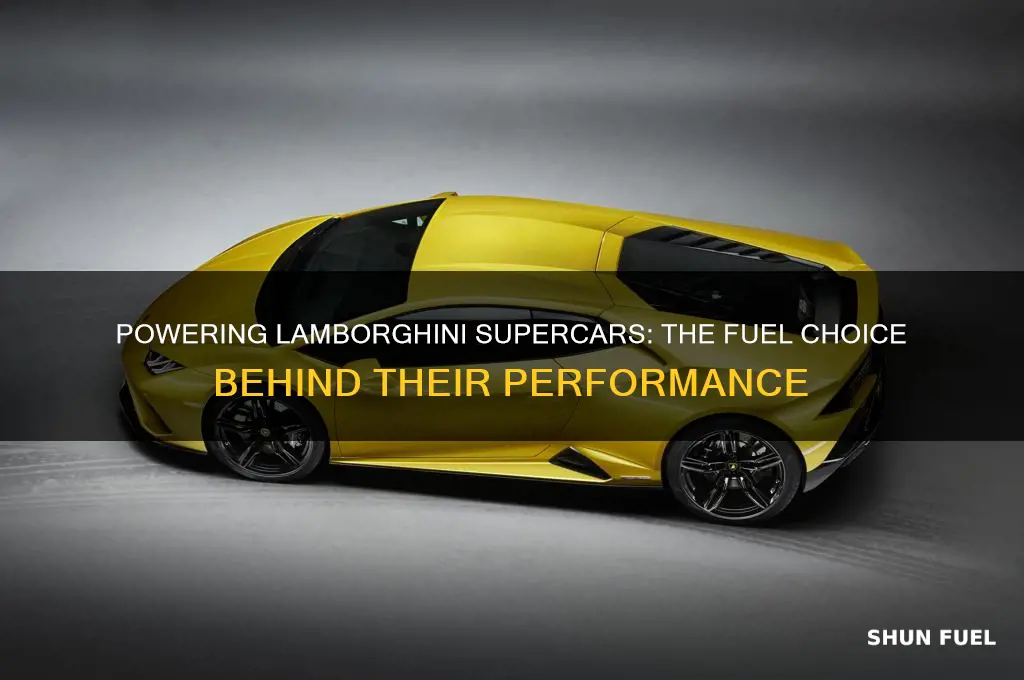 which fuel is used in lamborghini