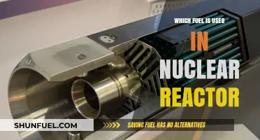 Understanding Nuclear Reactors: The Fuel That Powers Atomic Energy
