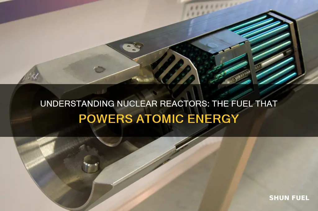 which fuel is used in nuclear reactor