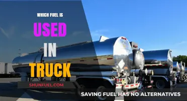 Exploring the Most Common Fuels Powering Trucks Today