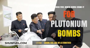 North Korea's Plutonium Bomb Fuel: Unveiling the Controversial Energy Source