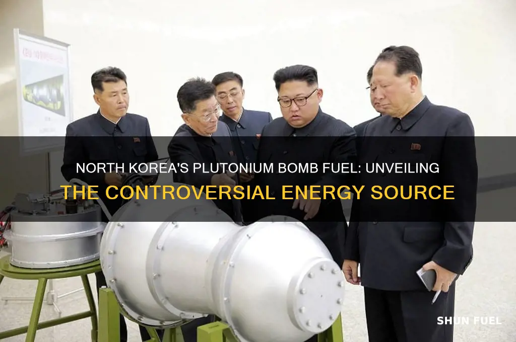 which fuel north korea using it for plutonium bombs