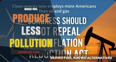 Cleaner Energy Choices: Which Fuel Produces the Least Pollution?