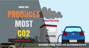 Comparing Carbon Footprints: Which Fuel Produces the Most CO2?
