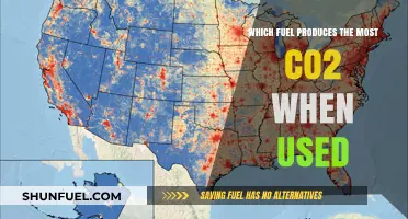 Comparing Carbon Footprints: Which Fuel Emits the Most CO2?