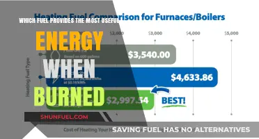 Comparing Fuel Efficiency: Which Energy Source Burns Brightest?