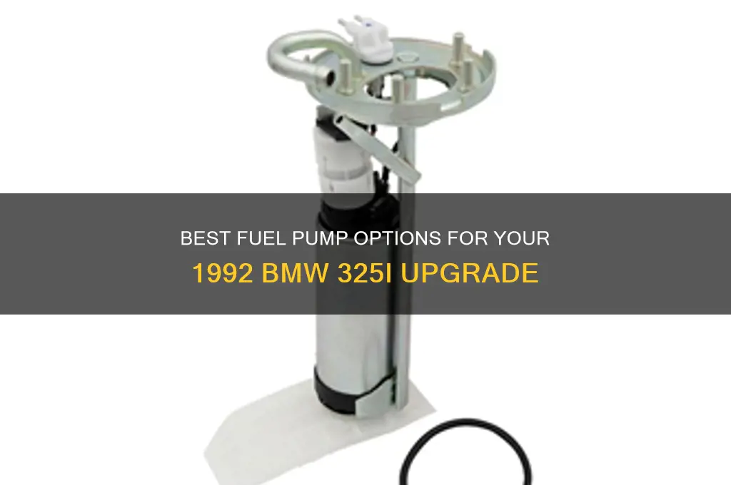 which fuel pump for 92 bmw 325i