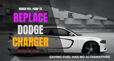 Fuel Pump Replacement Guide for Dodge Charger Owners