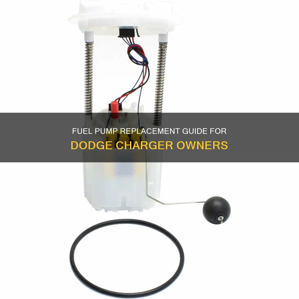 which fuel pump to replace dodge charger