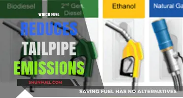 Clean Energy Choices: Which Fuel Minimizes Tailpipe Emissions Effectively?