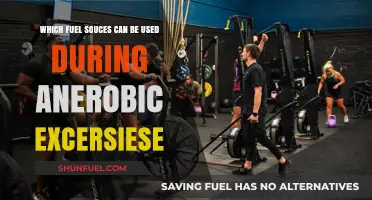 Fuel Sources for Anaerobic Exercise: Powering Intense Workouts Efficiently