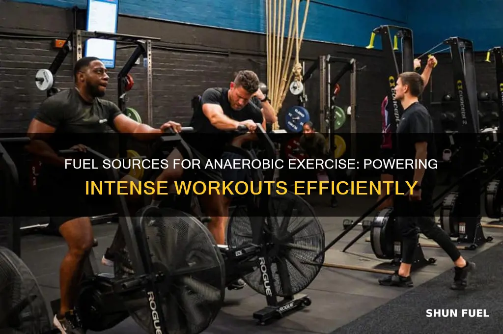 which fuel souces can be used during anerobic excersiese