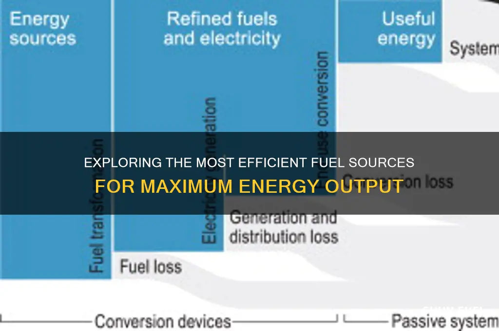 which fuel source gives energy