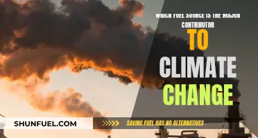 Fossil Fuels: The Climate Change Culprit?