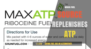 How Carbohydrates, Fats, and Proteins Replenish ATP for Energy