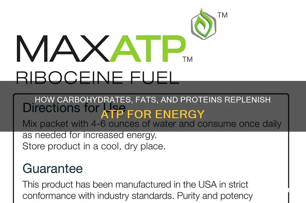 which fuel source replenishes atp