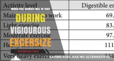 Fuel for Intense Workouts: Unlocking Energy Sources During Vigorous Exercise