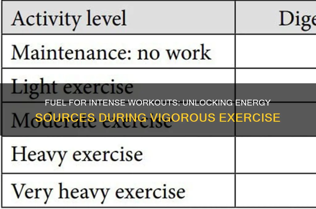 which fuel sources will be used during vigiourous excersize