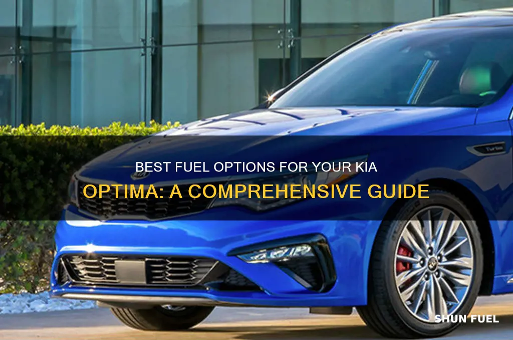 which fuel to use for kia optima