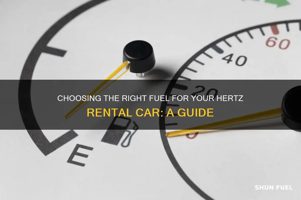 which fuel to use hertz