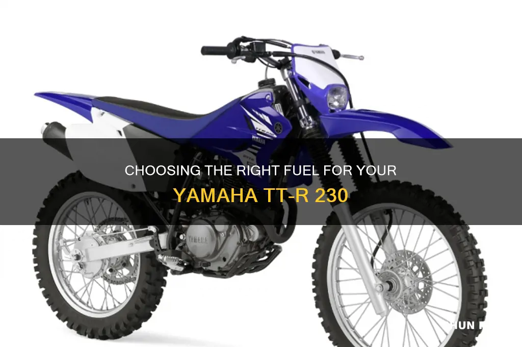 which fuel ttr 230