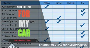 Choosing the Right Fuel Type for Your Car