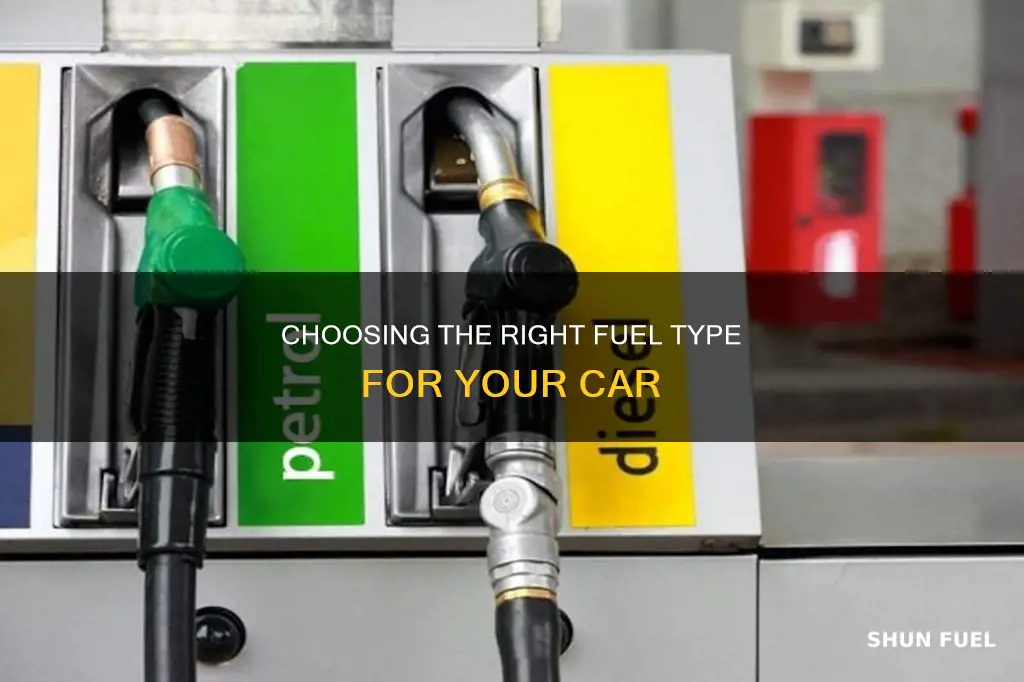 which fuel type for my car