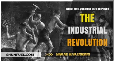 Coal: The Fuel That Sparked the Industrial Revolution's Rise