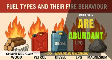 Exploring the Most Abundant Fuels Powering Our World Today