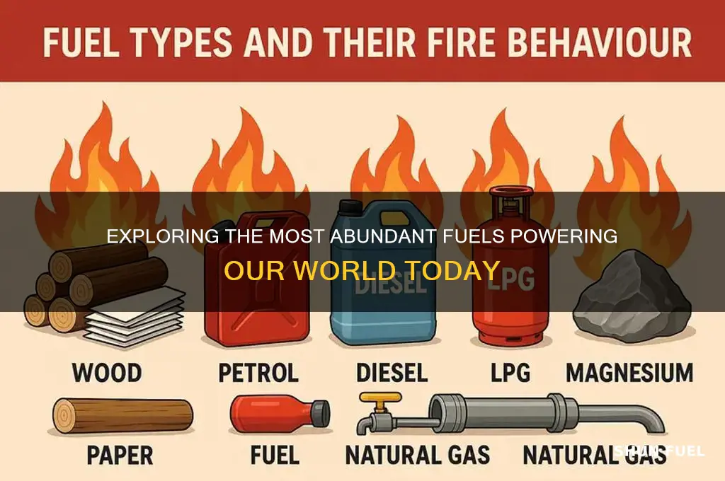 which fuels are abundant