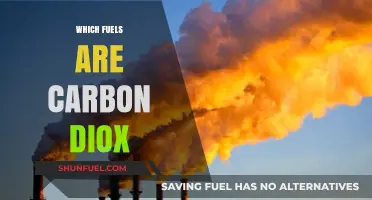 Carbon Dioxide Emissions: Which Fuels Contribute the Most?