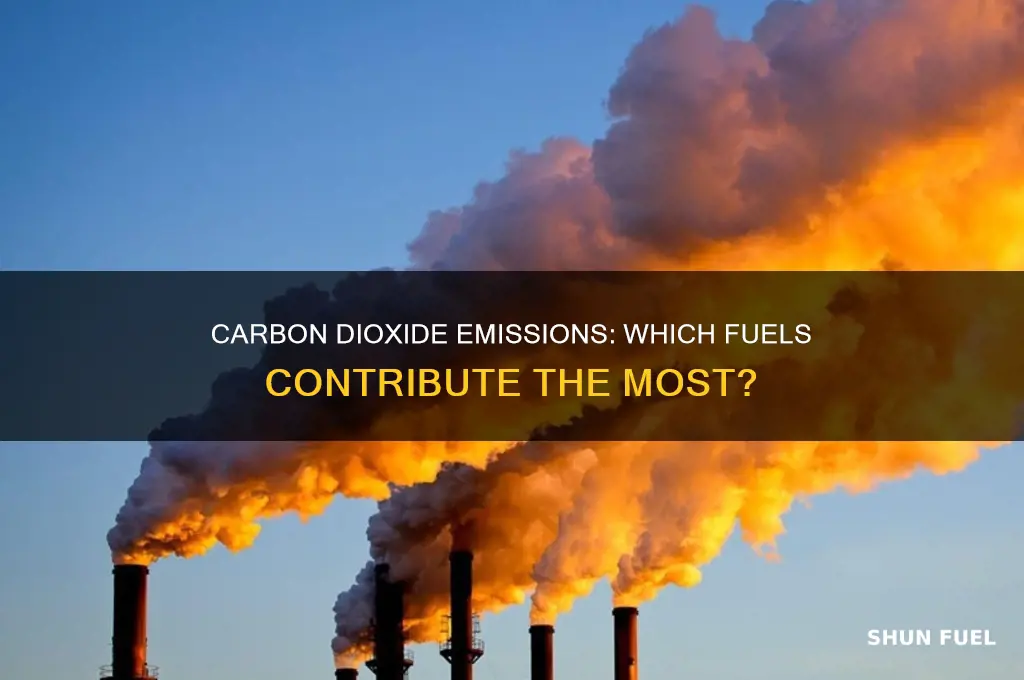 which fuels are carbon diox