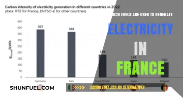 France's Electricity Generation: Exploring the Primary Fuels and Sources