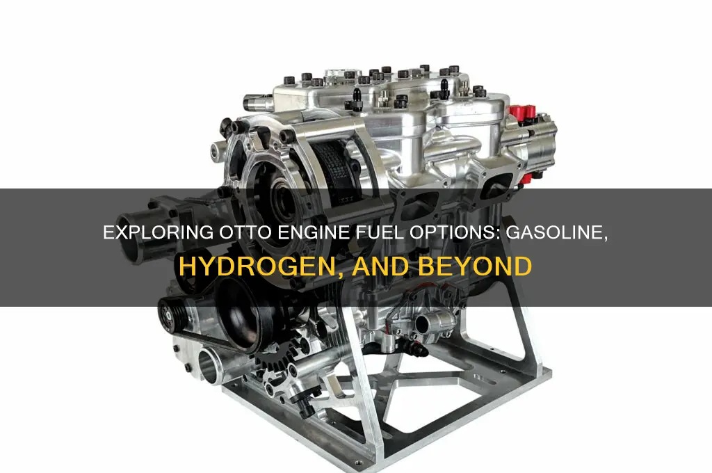 which fuels can an otto engine run on